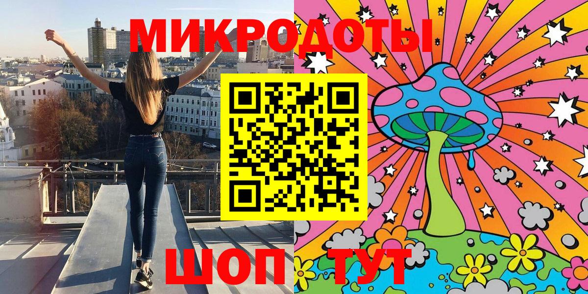 Псилоцибиновые грибы Psilocybe Таганрог