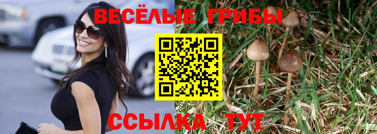 Таганрог  Галлюциногенные грибы ЛСД  Вход с VPN 